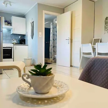 Apartamento New, Modern And Cozy In