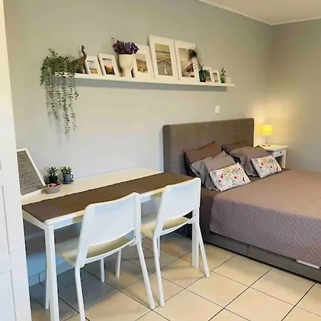 New, Modern And Cozy In